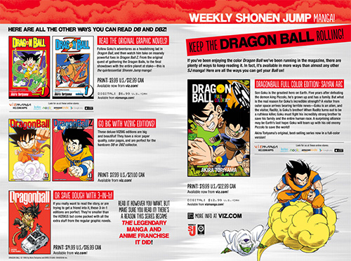 Focus On: 100 Most Popular Viz Media Manga: Dragon