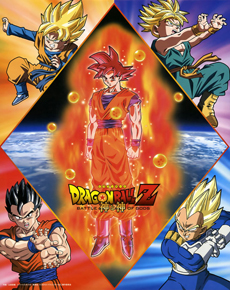 DRAGONBALL EVOLUTION - Movieguide