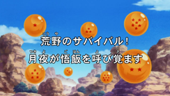 Widescreen Title (Broadcast)
