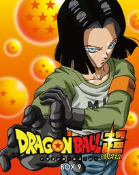 ドラゴンボール超 17 破壊神の力 [Dragon Ball Super 17: Hakaishin no Chikara] by Akira  Toriyama