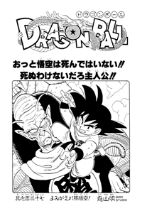 Tankōbon Title Page