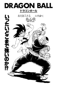 Tankōbon Title Page