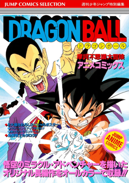 DRAGONBALL JAPANESE 1992 Toei Anime Movie Pamphlet