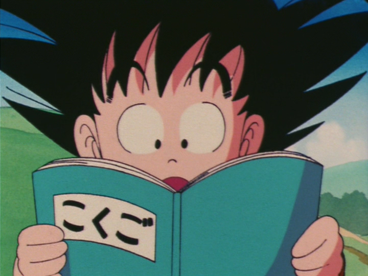 File:DB18-Book.png