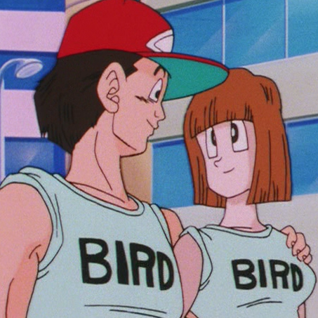File:Item-bird-shirts.png