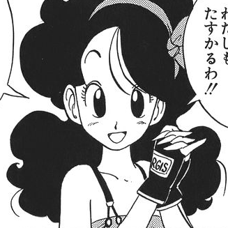 File:Item-sturgis-gloves-manga.png