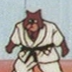 An unknown fighter
