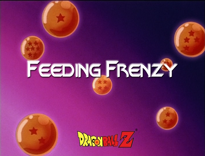 File:Funi-2002-dub-episode-245-title.png