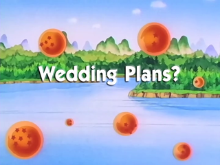 Dragon Ball Episode 31 (English)