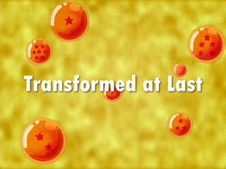 Dragon Ball Z Episode 95 (English)