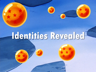 Dragon Ball Z Episode 218 (English)