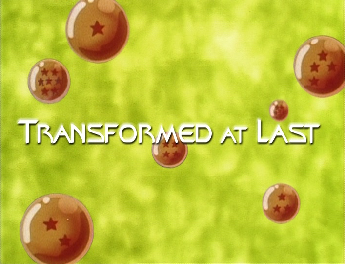 File:Funi-1999-dub-episode-80-title.png