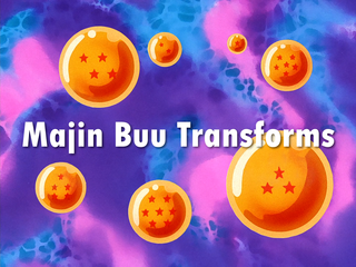 Dragon Ball Z Episode 265 (English)