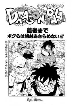 Dragon Ball Chapter 236 (Tankōbon)