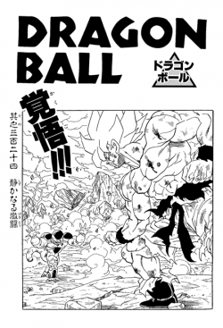 Dragon Ball Chapter 324 (Kanzenban)