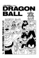 Thumbnail for version as of 13:41, 13 January 2020