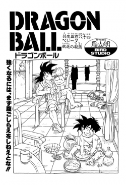 Dragon Ball Chapter 384 (Tankōbon)