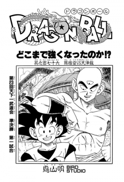 Dragon Ball Chapter 176 (Tankōbon)
