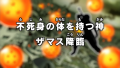 Thumbnail for version as of 13:52, 23 March 2026
