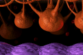 Thumbnail for version as of 20:01, 26 March 2019