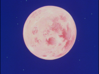 A flashback to a moon as Raditz explains the Great Ape transformation to Goku.