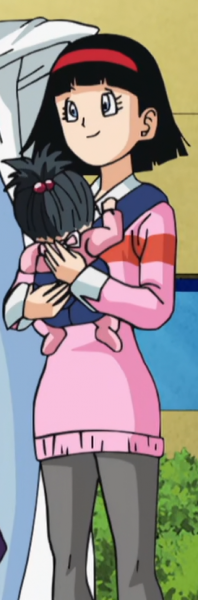 File:Videl New Outfit.png