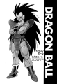 Thumbnail for version as of 18:43, 2 January 2020