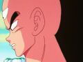 Thumbnail for version as of 13:05, 5 March 2021
