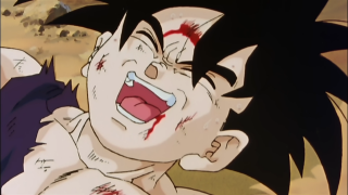 Go! Gohan!!