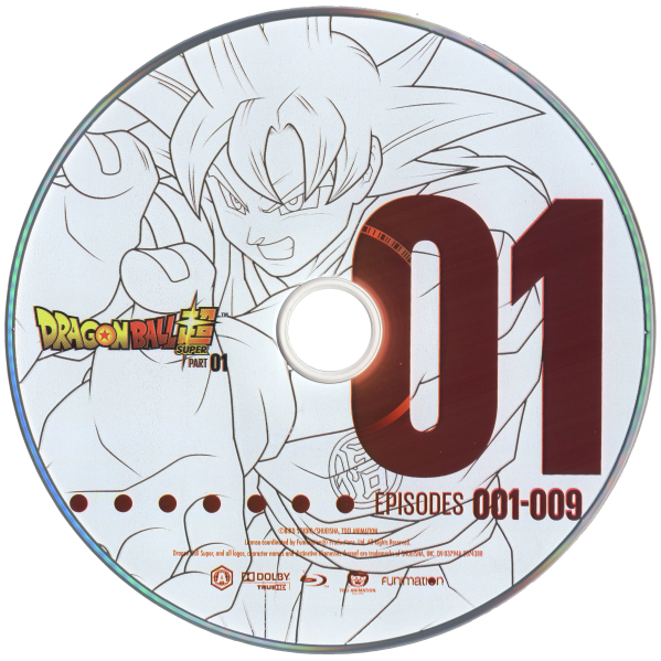 File:DBS-P1D1.png