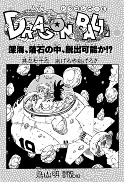 Dragon Ball Chapter 79 (Tankōbon)