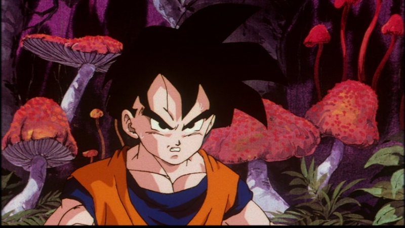 File:Dbzm9-mushroom-forest.png