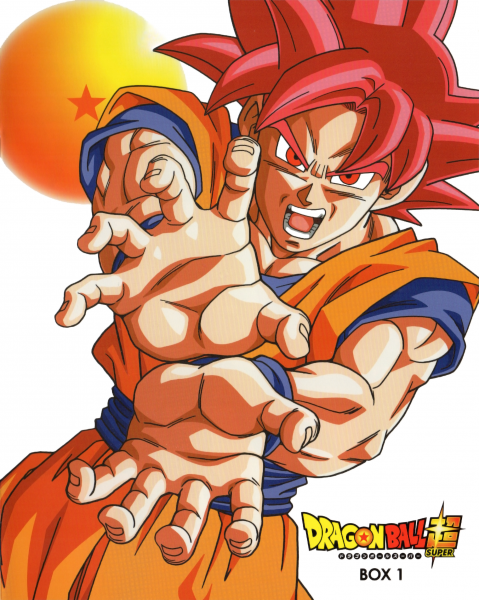 File:DBS-box1-booklet.png
