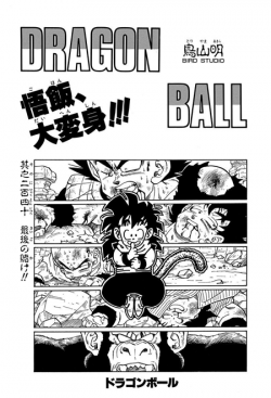 Dragon Ball Chapter 240 (Tankōbon)