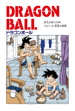 Dragon Ball Chapter 384 (Full Color)