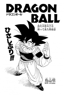 Dragon Ball Chapter 333 (Tankōbon)