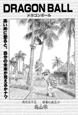 Dragon Ball Chapter 33 (Tankōbon)