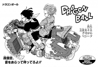 Dragon Ball Chapter 353 (Tankōbon)