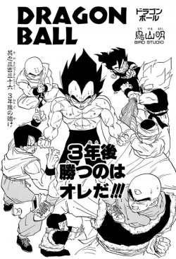 Dragon Ball Chapter 336 (Tankōbon)