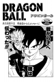 Thumbnail for version as of 16:08, 4 January 2021