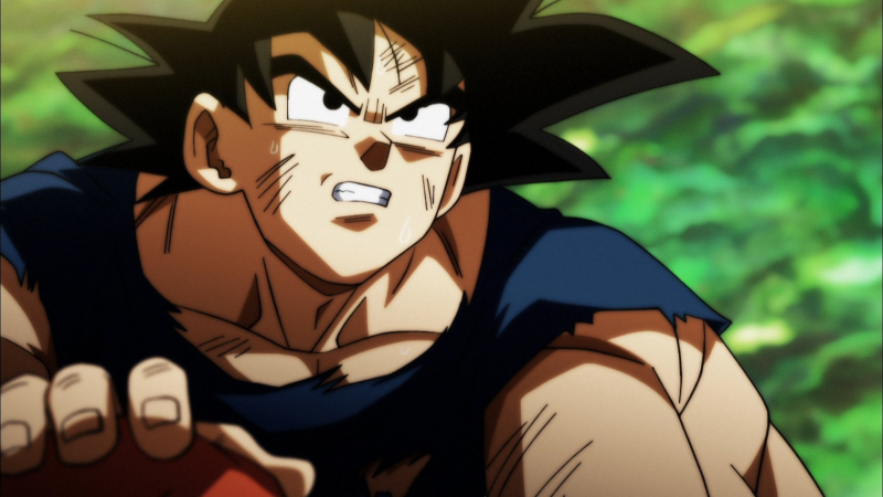 File:DBS117-pv3.png