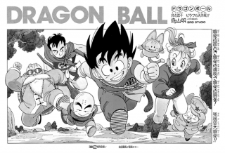 Dragon Ball Chapter 110 (Tankōbon)