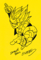 Thumbnail for version as of 11:50, 9 January 2019