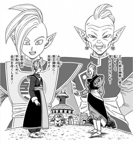 File:Chapter 21 Interstitial.PNG