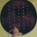 One of two Chinese-language circles filled with writing, on the left of the exit. Also gibberish.