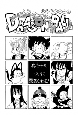 Dragon Ball Chapter 19 (Kanzenban)