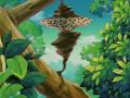 Thumbnail for version as of 06:19, 29 September 2020