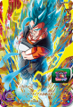 Card PBBS5-07 in Super Dragon Ball Heroes