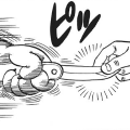 Thumbnail for version as of 11:38, 22 May 2019