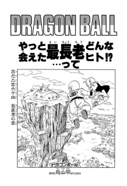 Dragon Ball Chapter 264 (Tankōbon)